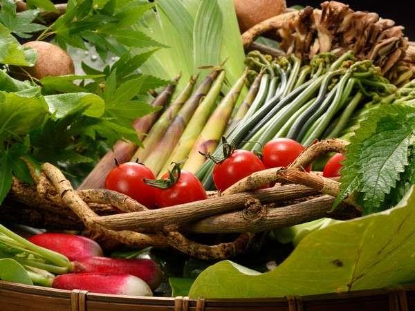 【３種の異なる泉質と四季の郷土料理】美人の湯　瀬美温泉 盛岡