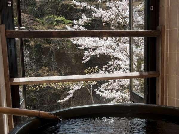 【３種の異なる泉質と四季の郷土料理】美人の湯　瀬美温泉 盛岡