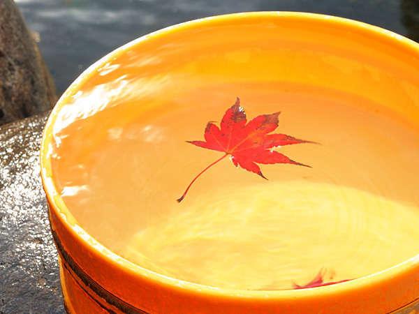 【３種の異なる泉質と四季の郷土料理】美人の湯　瀬美温泉 盛岡