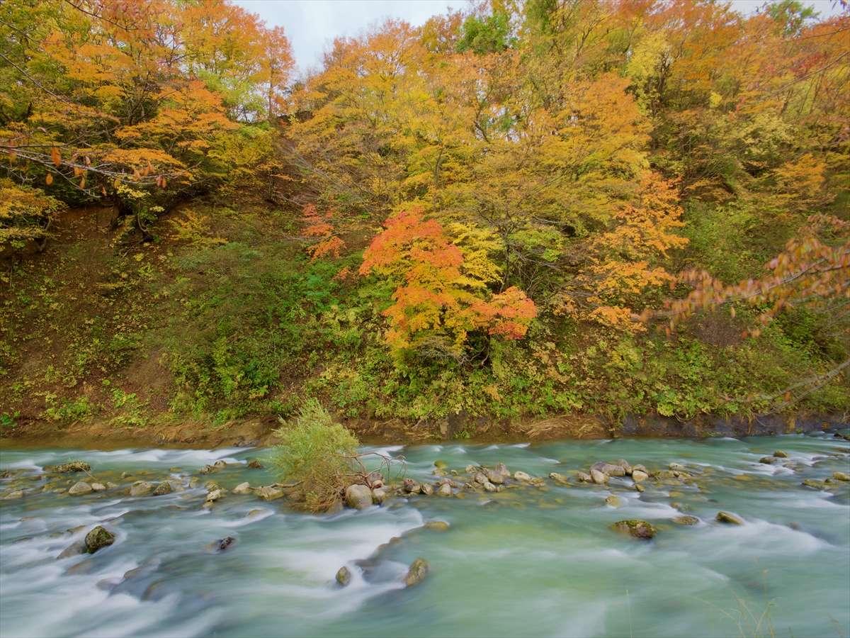 【３種の異なる泉質と四季の郷土料理】美人の湯　瀬美温泉 盛岡