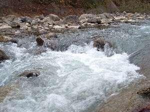 【３種の異なる泉質と四季の郷土料理】美人の湯　瀬美温泉 盛岡