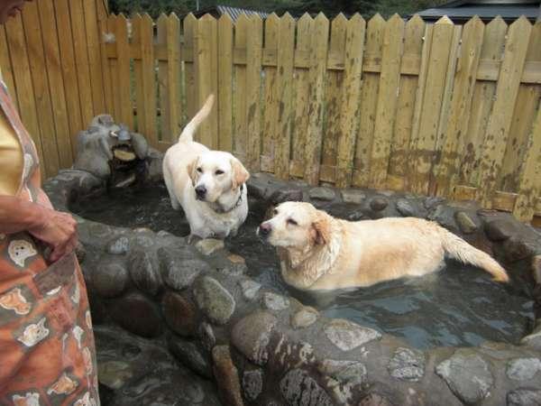 【３種の異なる泉質と四季の郷土料理】美人の湯　瀬美温泉 盛岡