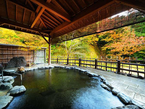 【３種の異なる泉質と四季の郷土料理】美人の湯　瀬美温泉 盛岡