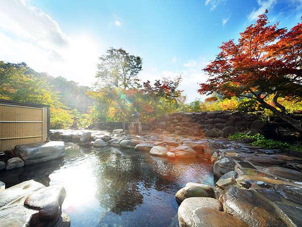 【３種の異なる泉質と四季の郷土料理】美人の湯　瀬美温泉 盛岡
