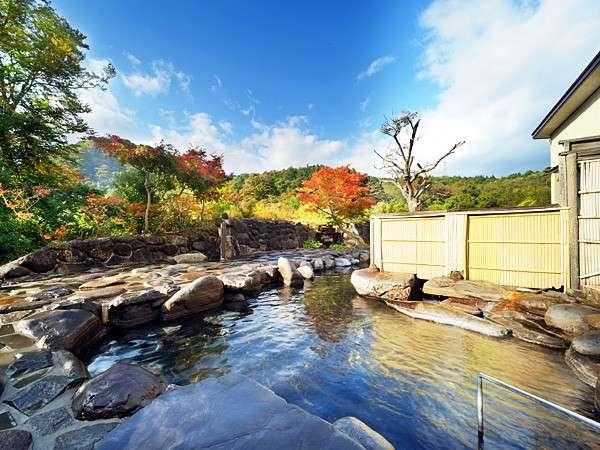 【３種の異なる泉質と四季の郷土料理】美人の湯　瀬美温泉 盛岡