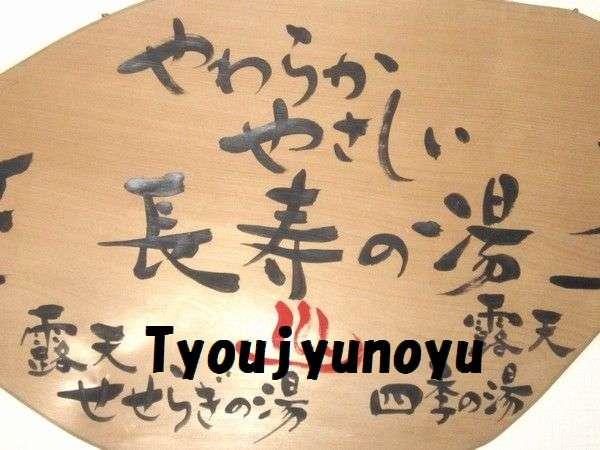 【３種の異なる泉質と四季の郷土料理】美人の湯　瀬美温泉 盛岡