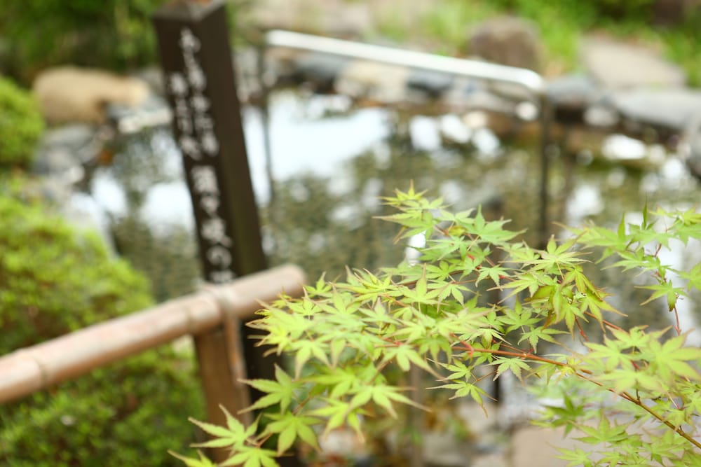 湯宿 和泉屋善兵衛 松本・軽井沢