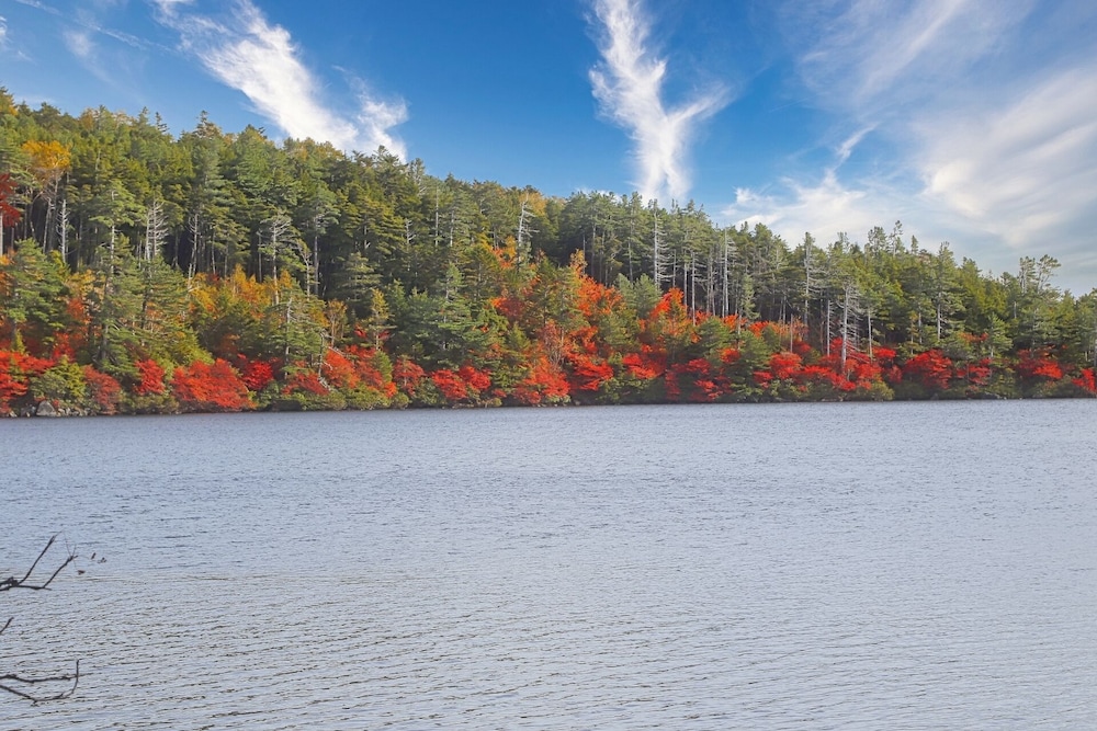 蓼科わんわんパラダイスコテージ 松本・軽井沢