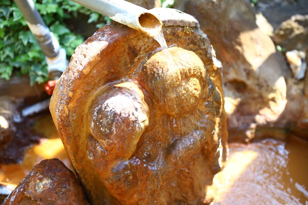 渋温泉 いかり屋旅館 松本・軽井沢