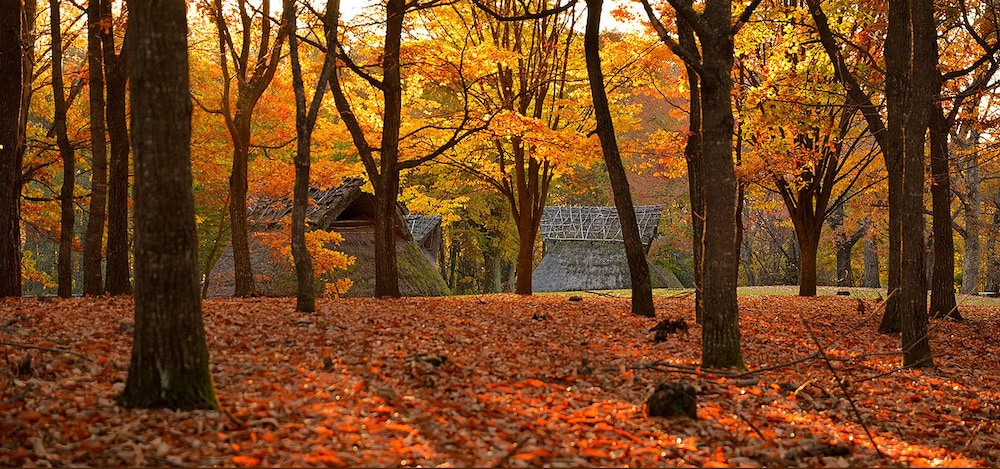 ホテル白樺湖榮園 松本・軽井沢