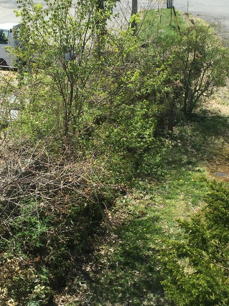 ホテル白樺湖榮園 松本・軽井沢