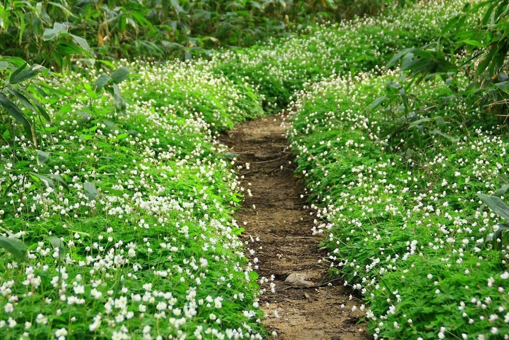 上高地 ホテル白樺荘 松本・軽井沢