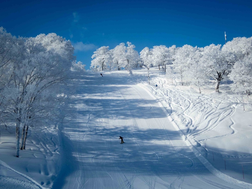 ペンションタネンホッフ 松本・軽井沢