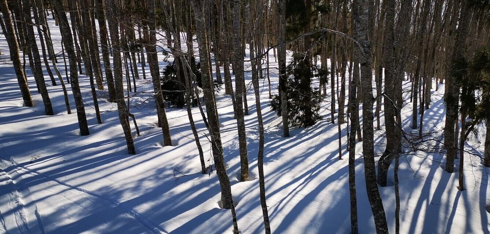 ペンションタネンホッフ 松本・軽井沢