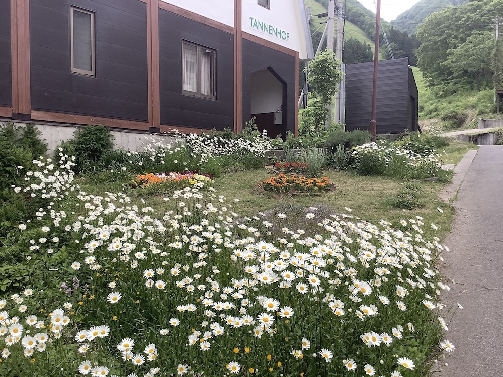 ペンションタネンホッフ 松本・軽井沢