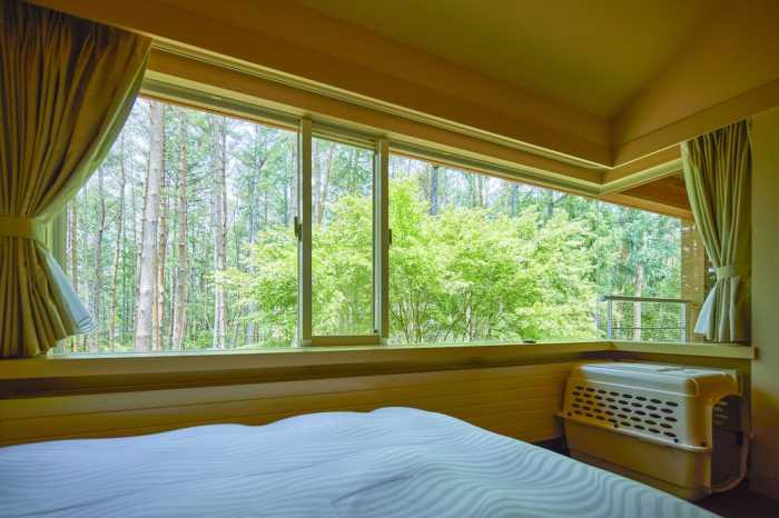 ゆとりろ蓼科ホテル WITH DOGS 松本・軽井沢