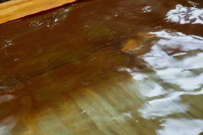 ゆとりろ蓼科ホテル WITH DOGS 松本・軽井沢