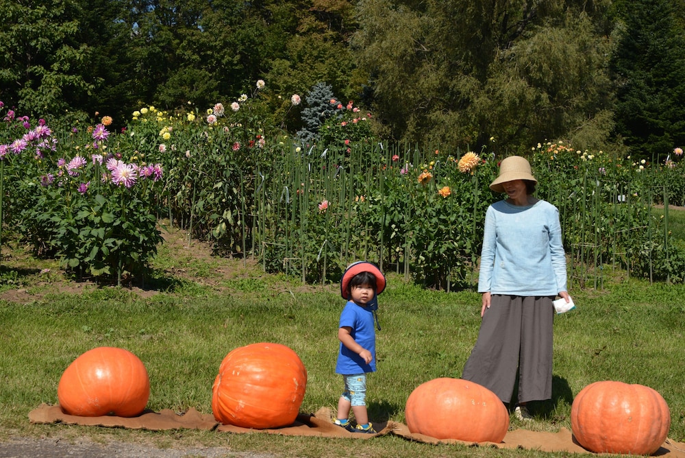 ペンション 紙ふうせん 松本・軽井沢