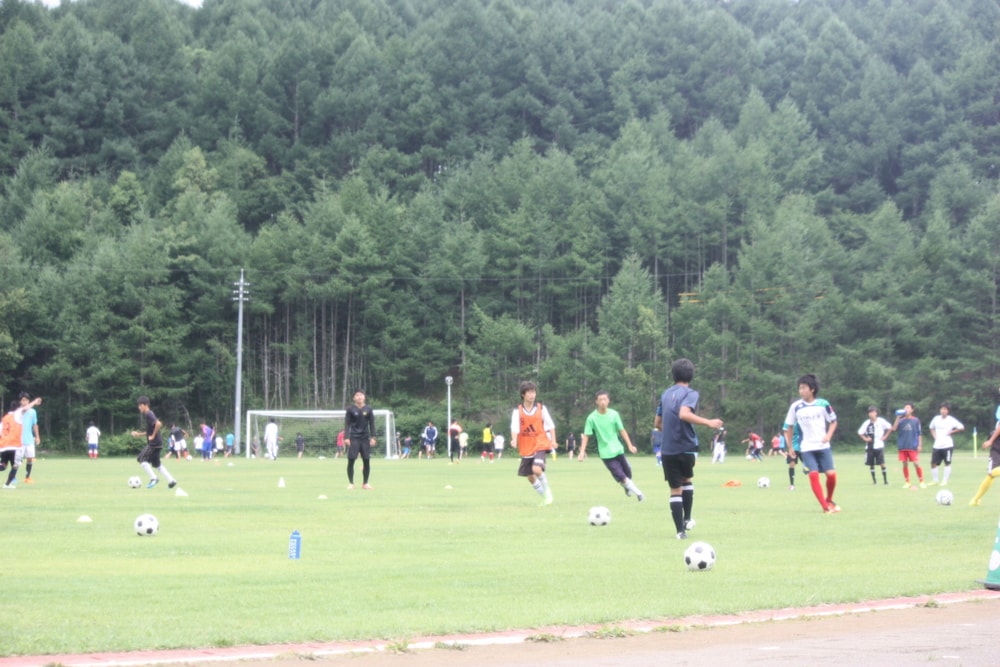 民宿 すずらん荘 松本・軽井沢
