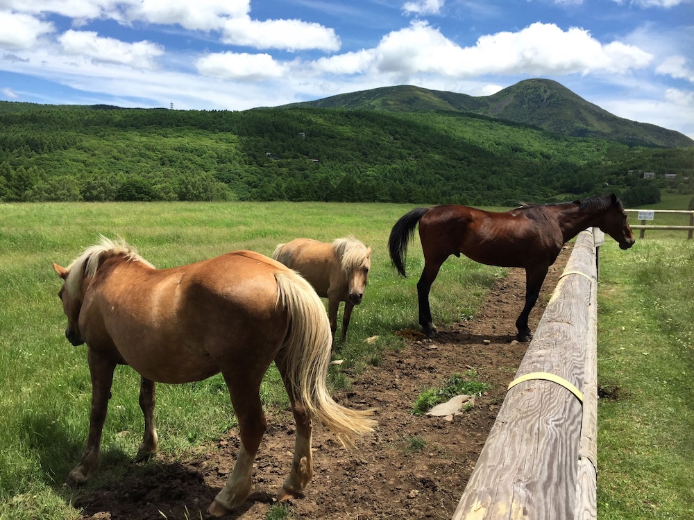 民宿 すずらん荘 松本・軽井沢