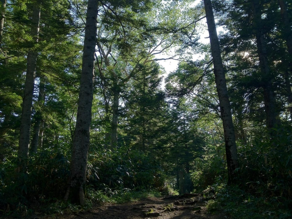 ホテルタキモト 松本・軽井沢