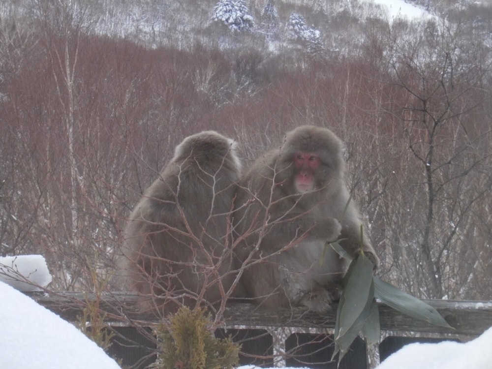ホテルタキモト 松本・軽井沢