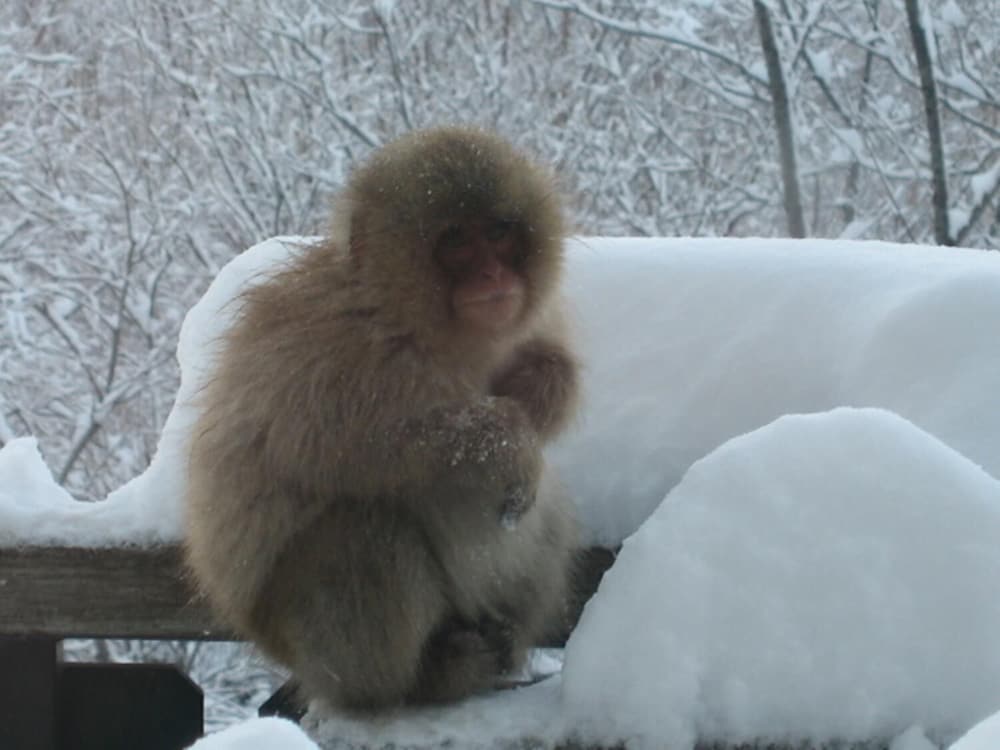 ホテルタキモト 松本・軽井沢