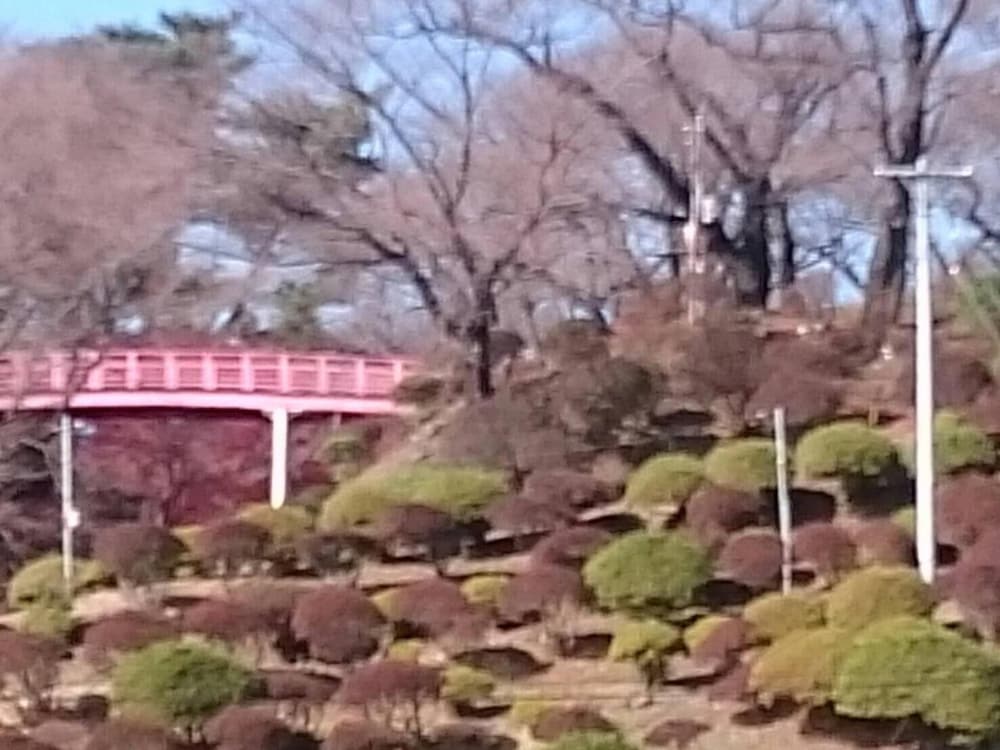 ホテル伊那 松本・軽井沢