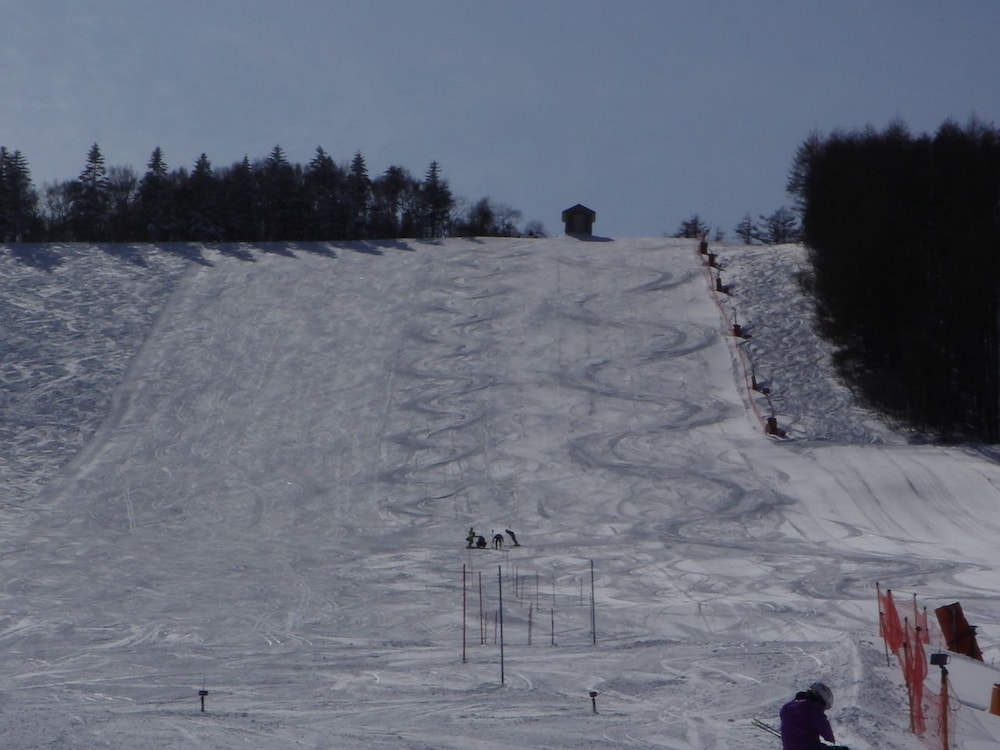 信州菅平高原 ロッヂ ありす 松本・軽井沢