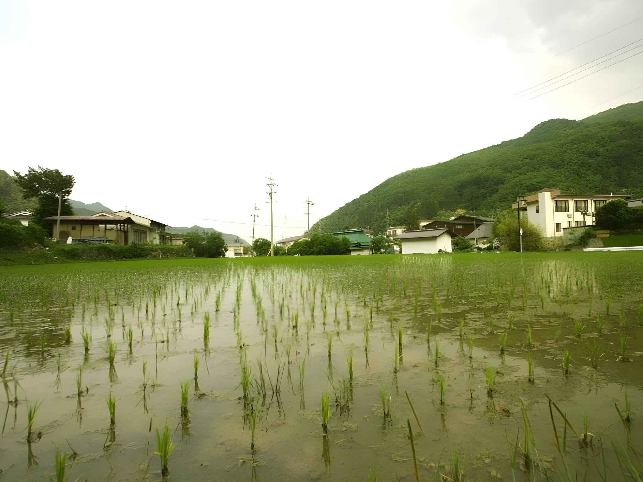信州鹿教湯温泉 かつら旅館 松本・軽井沢