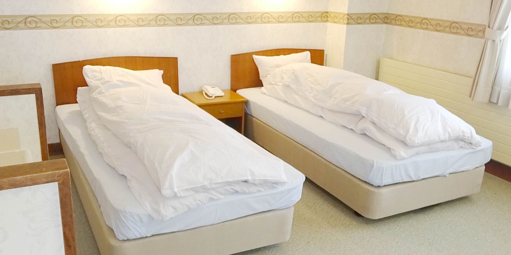 ニュー横手 松本・軽井沢