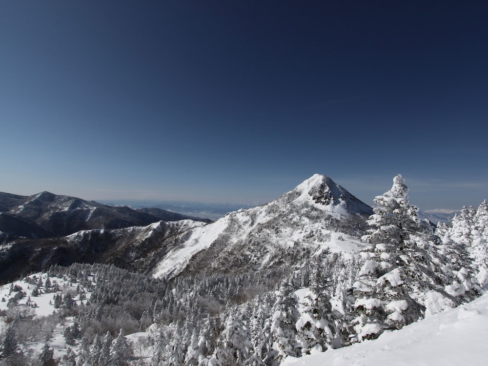 ニュー横手 松本・軽井沢