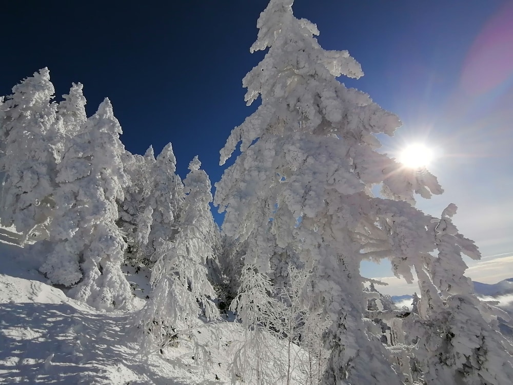 ニュー横手 松本・軽井沢