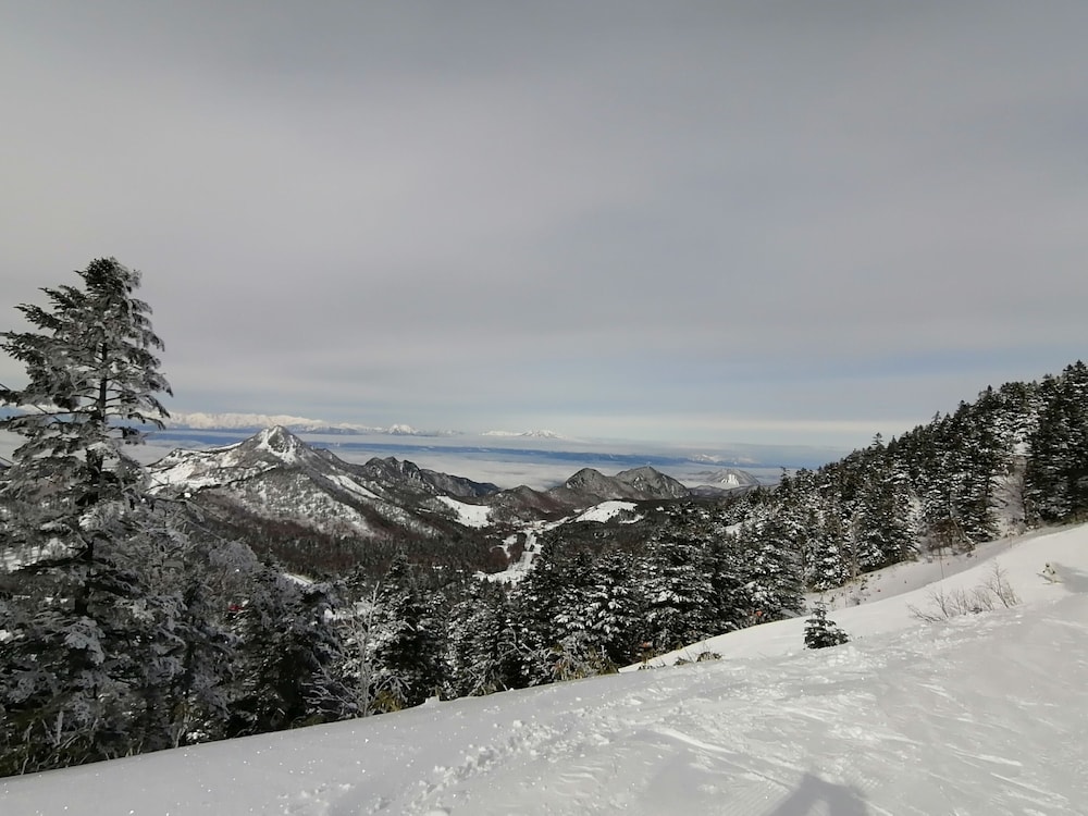 ニュー横手 松本・軽井沢