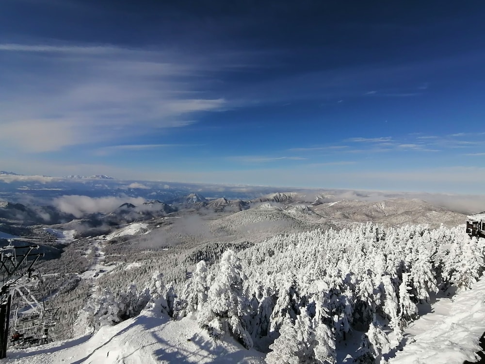 ニュー横手 松本・軽井沢