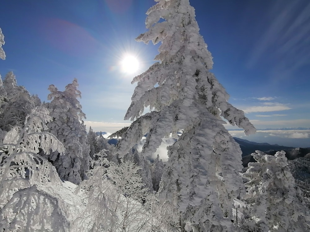 ニュー横手 松本・軽井沢