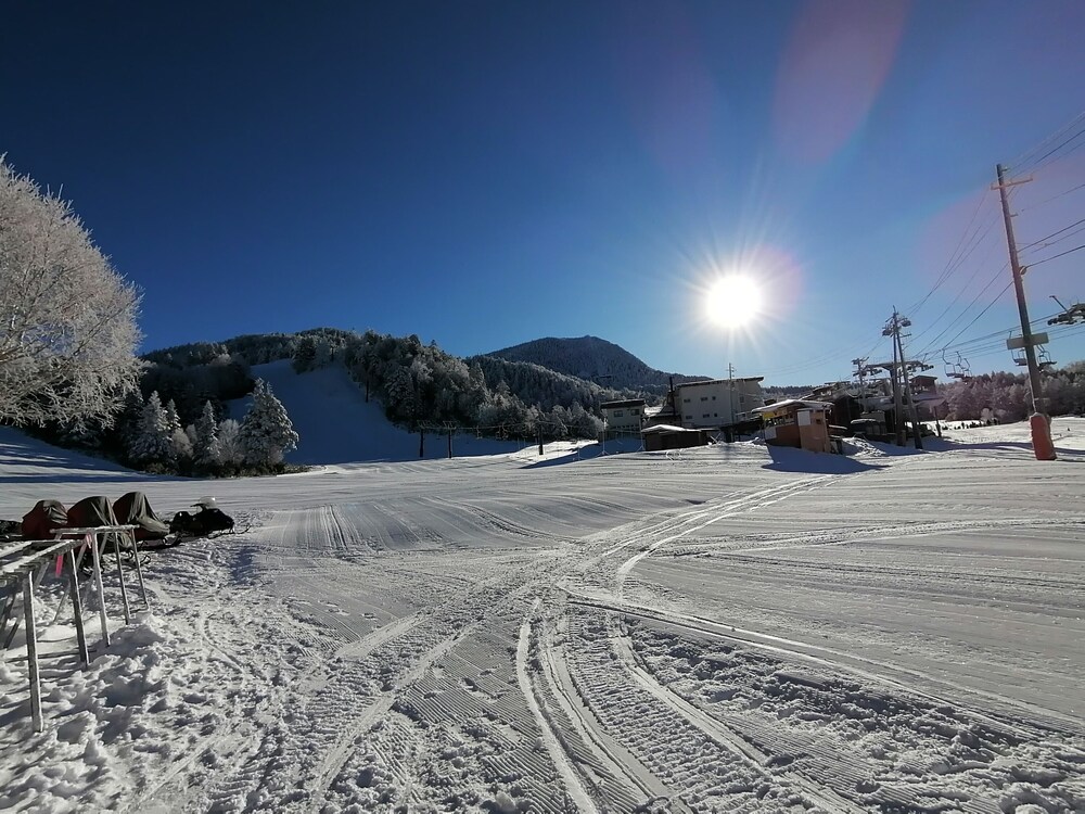 ニュー横手 松本・軽井沢