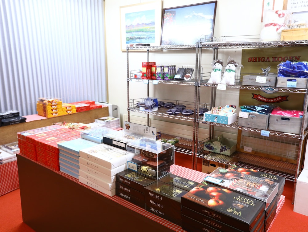 ニュー横手 松本・軽井沢