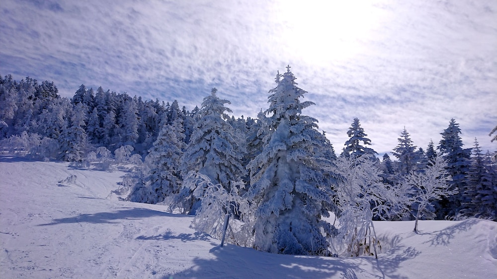 ニュー横手 松本・軽井沢