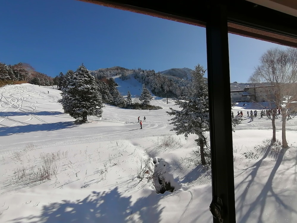 ニュー横手 松本・軽井沢
