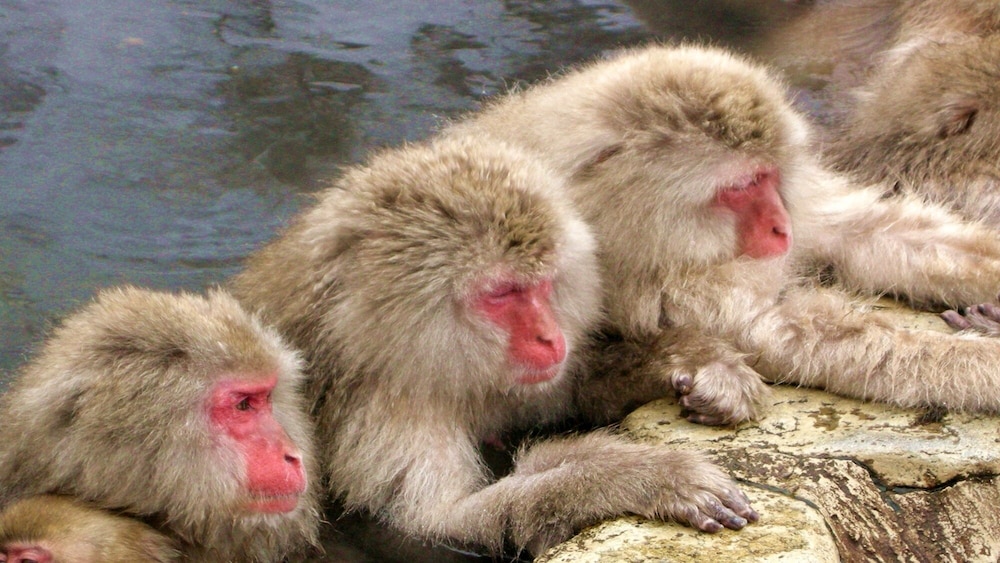 あぶらや燈千 松本・軽井沢