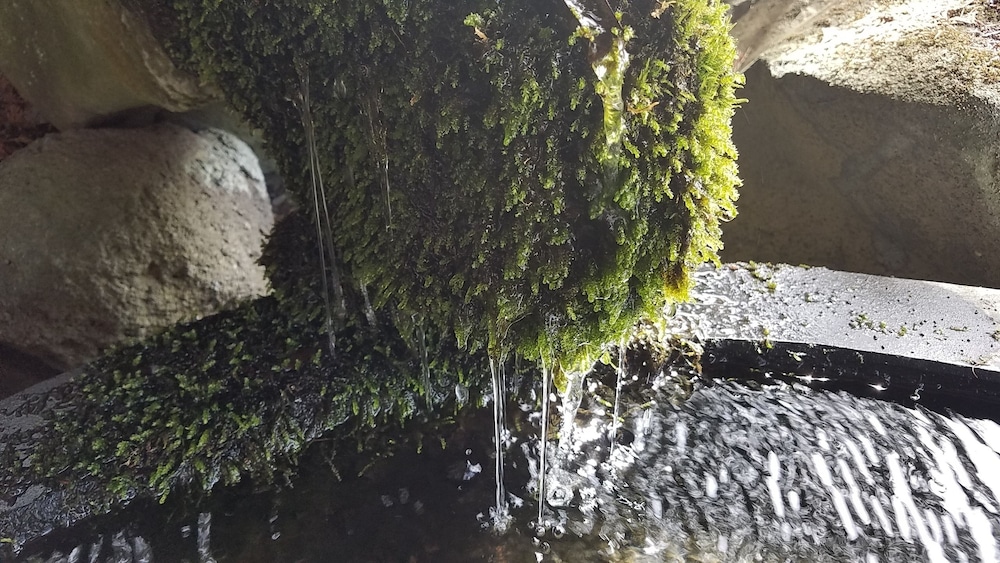 旅館やまかの湯 松本・軽井沢