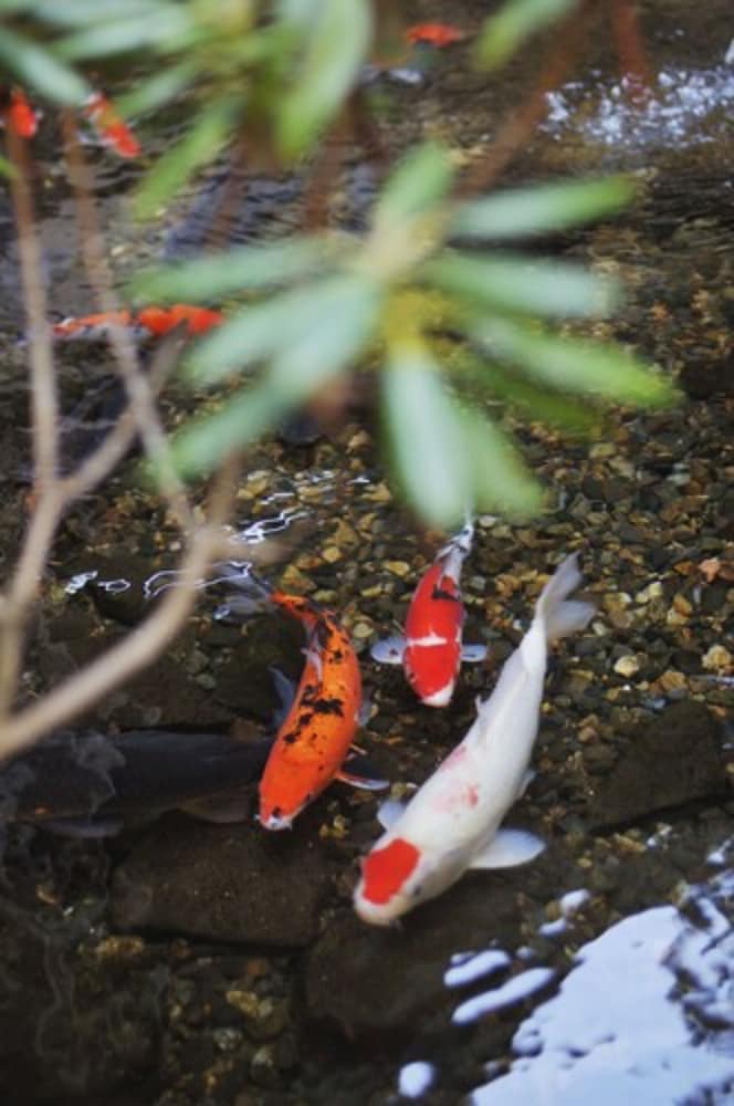 上林ホテル 仙壽閣 松本・軽井沢