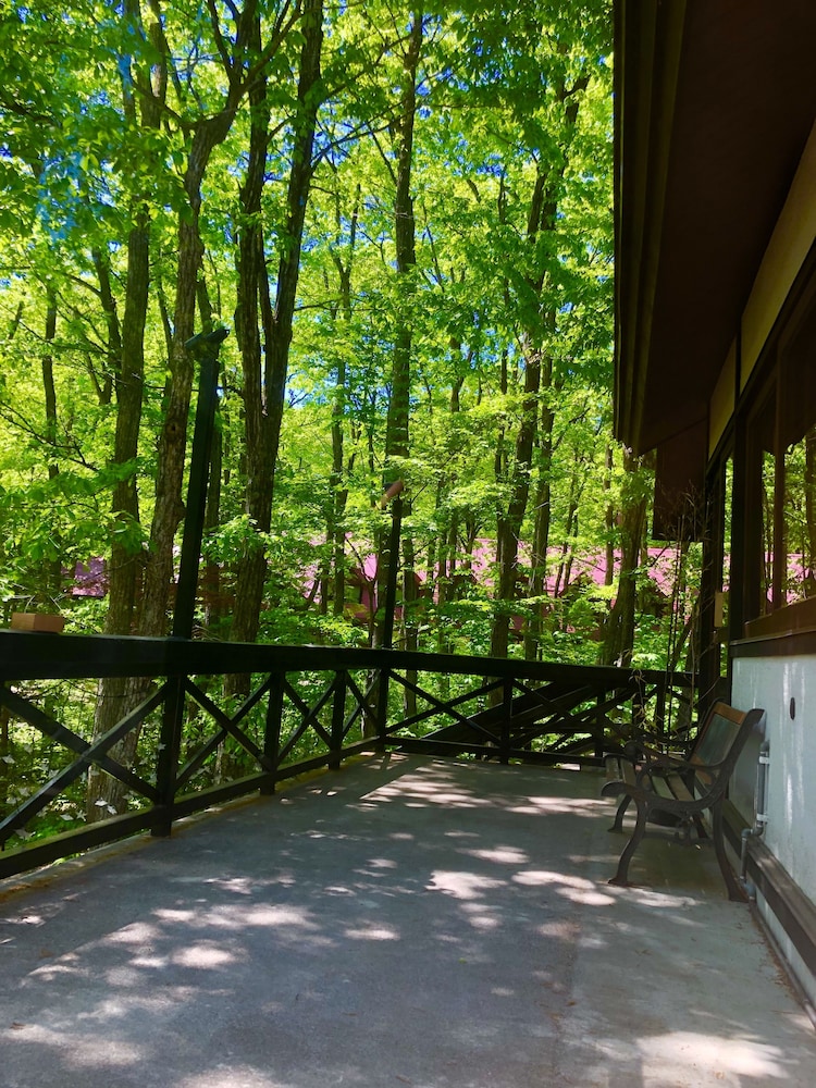 ゲストハウスジャパン白馬 松本・軽井沢