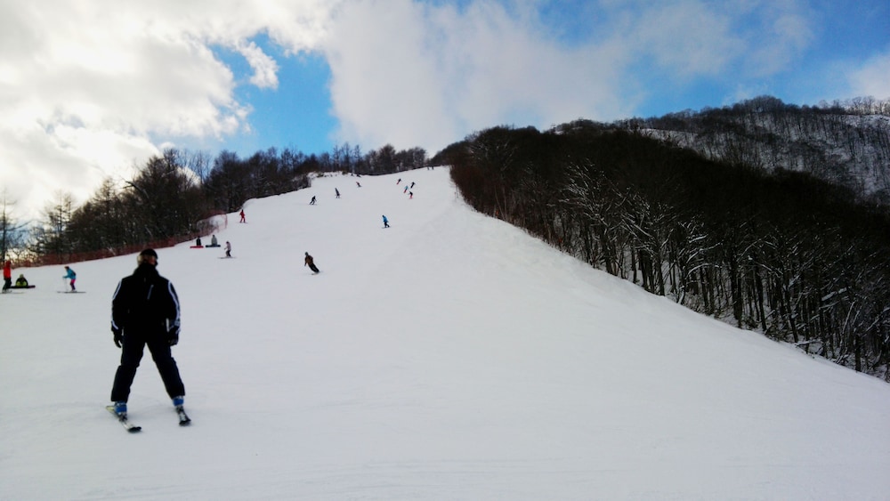 パルズイン雷鳥 松本・軽井沢