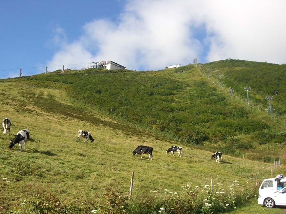 IL BOSCO 松本・軽井沢
