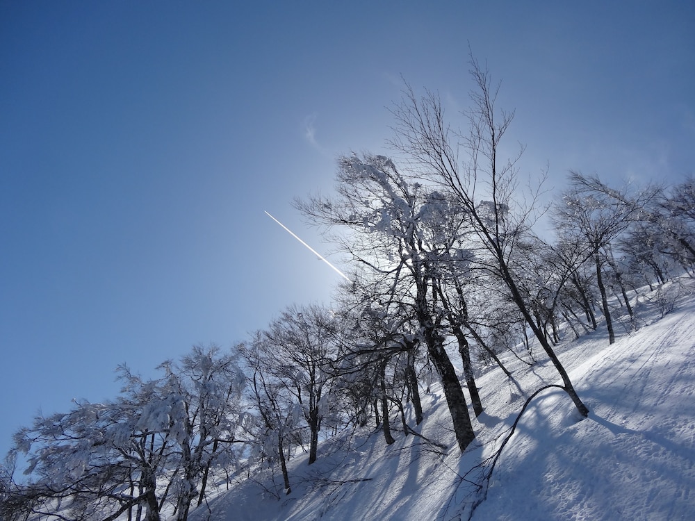 IL BOSCO 松本・軽井沢