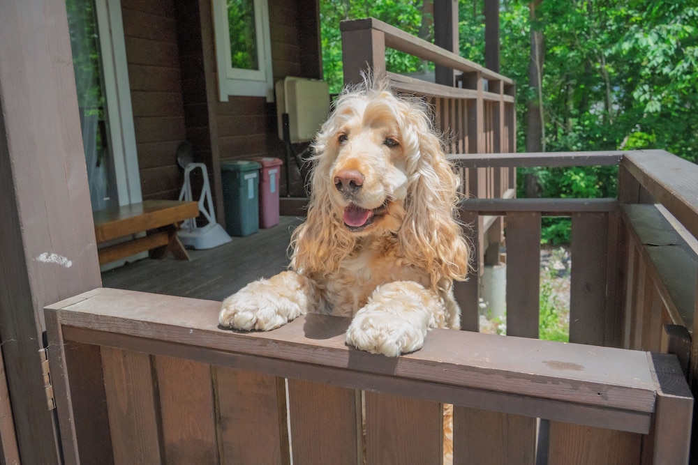 HAL COTTAGE 松本・軽井沢