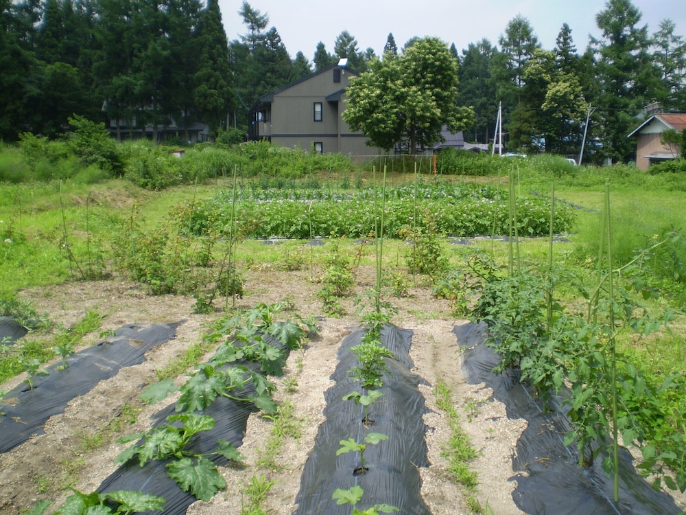 ペンションちゃうちゃう 松本・軽井沢