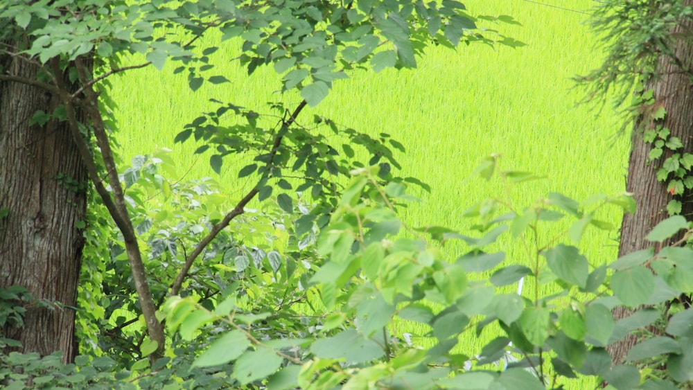白馬ブランシェ 松本・軽井沢